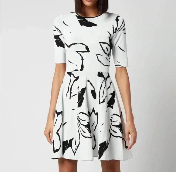 Ted Baker London Dresses & Skirts - Ted Baker London dress size 4